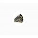 Bague State Quarter "CALIFORNIA 1850" by IGWM